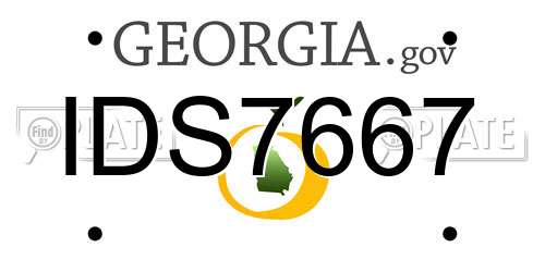 IDS7667 Georgia License Plate
