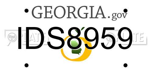 IDS8959 Georgia License Plate