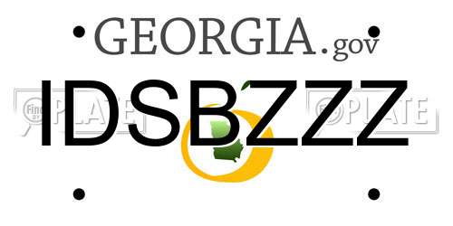 IDSBZZZ Georgia License Plate