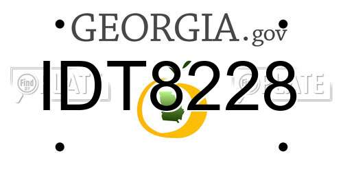 IDT8228 Georgia License Plate