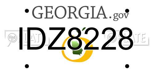 IDZ8228 Georgia License Plate