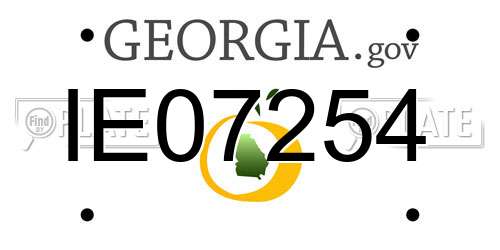 IE07254 Georgia License Plate