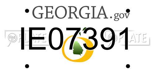 IE07391 Georgia License Plate