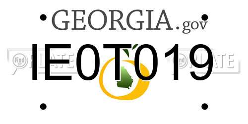 IE0T019 Georgia License Plate