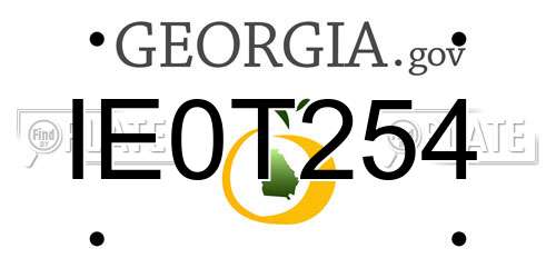 IE0T254 Georgia License Plate