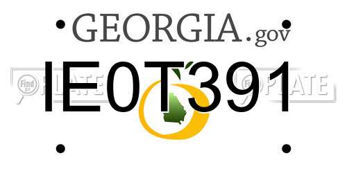 IE0T391 Georgia License Plate