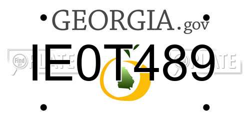IE0T489 Georgia License Plate