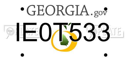 IE0T533 Georgia License Plate