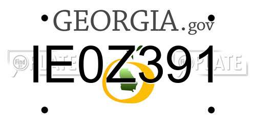 IE0Z391 Georgia License Plate