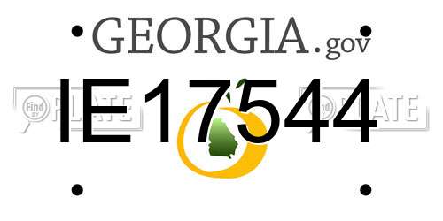 IE17544 Georgia License Plate