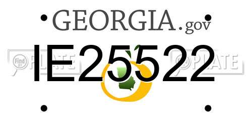 IE25522 Georgia License Plate