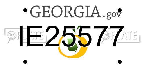 IE25577 Georgia License Plate