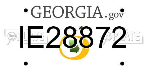 IE28872 Georgia License Plate