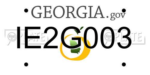 IE2G003 Georgia License Plate