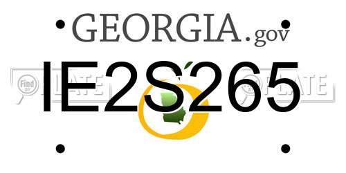 IE2S265 Georgia License Plate