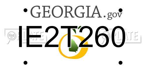 IE2T260 Georgia License Plate