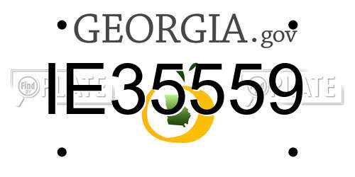 IE35559 Georgia License Plate