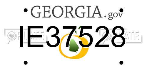IE37528 Georgia License Plate