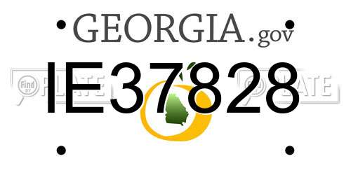 IE37828 Georgia License Plate