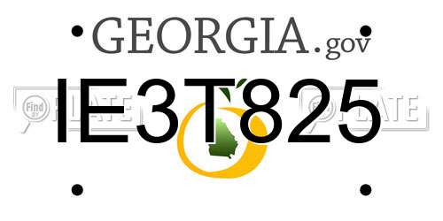 IE3T825 Georgia License Plate