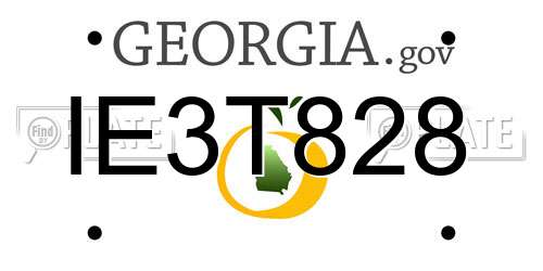 IE3T828 Georgia License Plate
