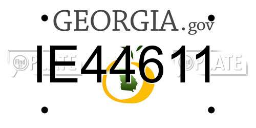 IE44611 Georgia License Plate
