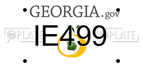 IE499 Georgia License Plate
