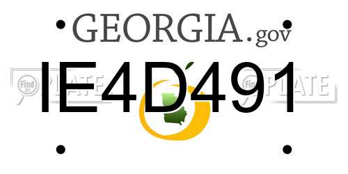 IE4D491 Georgia License Plate