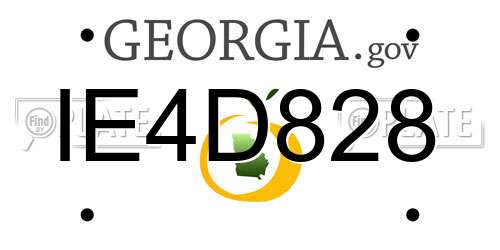 IE4D828 Georgia License Plate