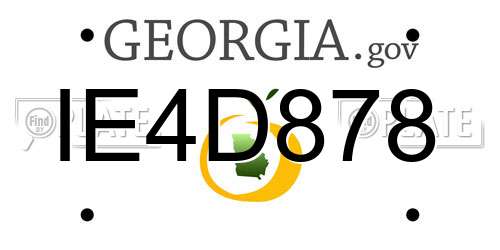 IE4D878 Georgia License Plate