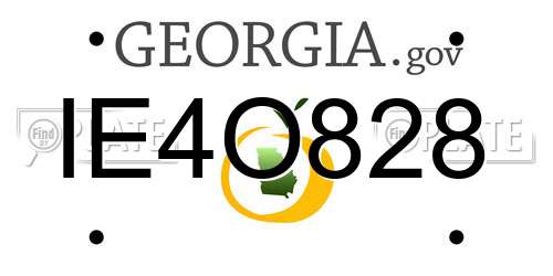 IE4O828 Georgia License Plate