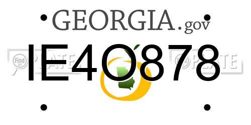 IE4O878 Georgia License Plate