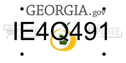 IE4Q491 Georgia License Plate