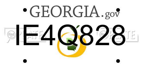 IE4Q828 Georgia License Plate