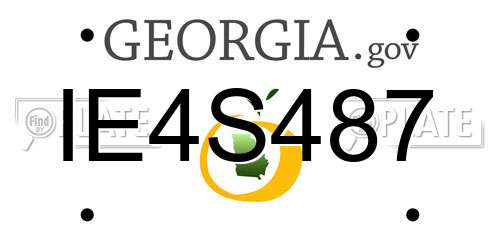 IE4S487 Georgia License Plate
