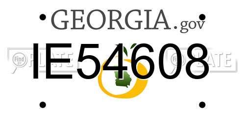 IE54608 Georgia License Plate