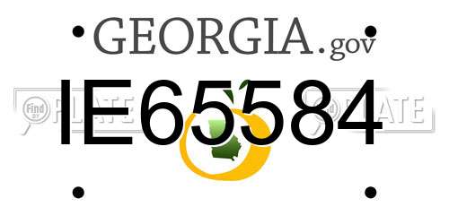 IE65584 Georgia License Plate