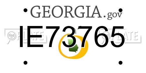 IE73765 Georgia License Plate