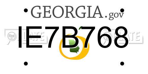 IE7B768 Georgia License Plate