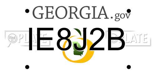 IE8J2B Georgia License Plate