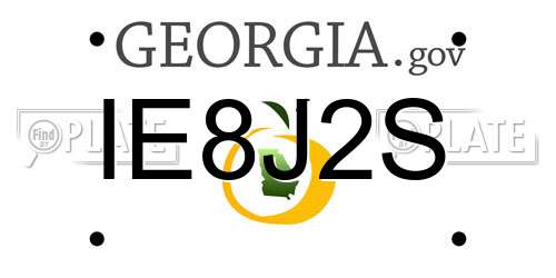 IE8J2S Georgia License Plate
