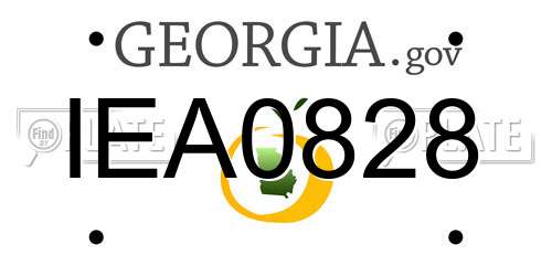 IEA0828 Georgia License Plate
