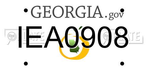 IEA0908 Georgia License Plate