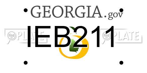 IEB211 Georgia License Plate