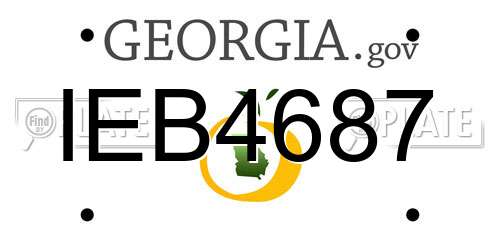 IEB4687 Georgia License Plate