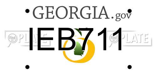 IEB711 Georgia License Plate
