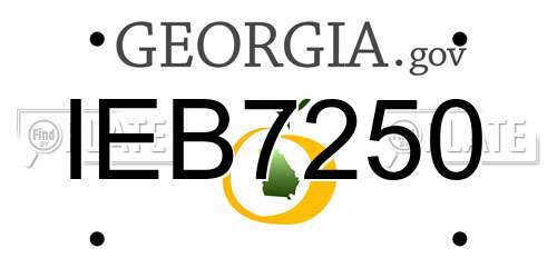 IEB7250 Georgia License Plate
