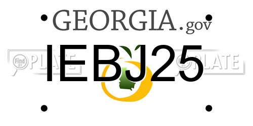 IEBJ25 Georgia License Plate