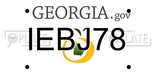 IEBJ78 Georgia License Plate