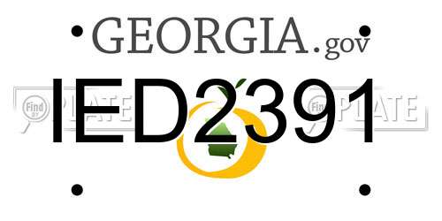IED2391 Georgia License Plate